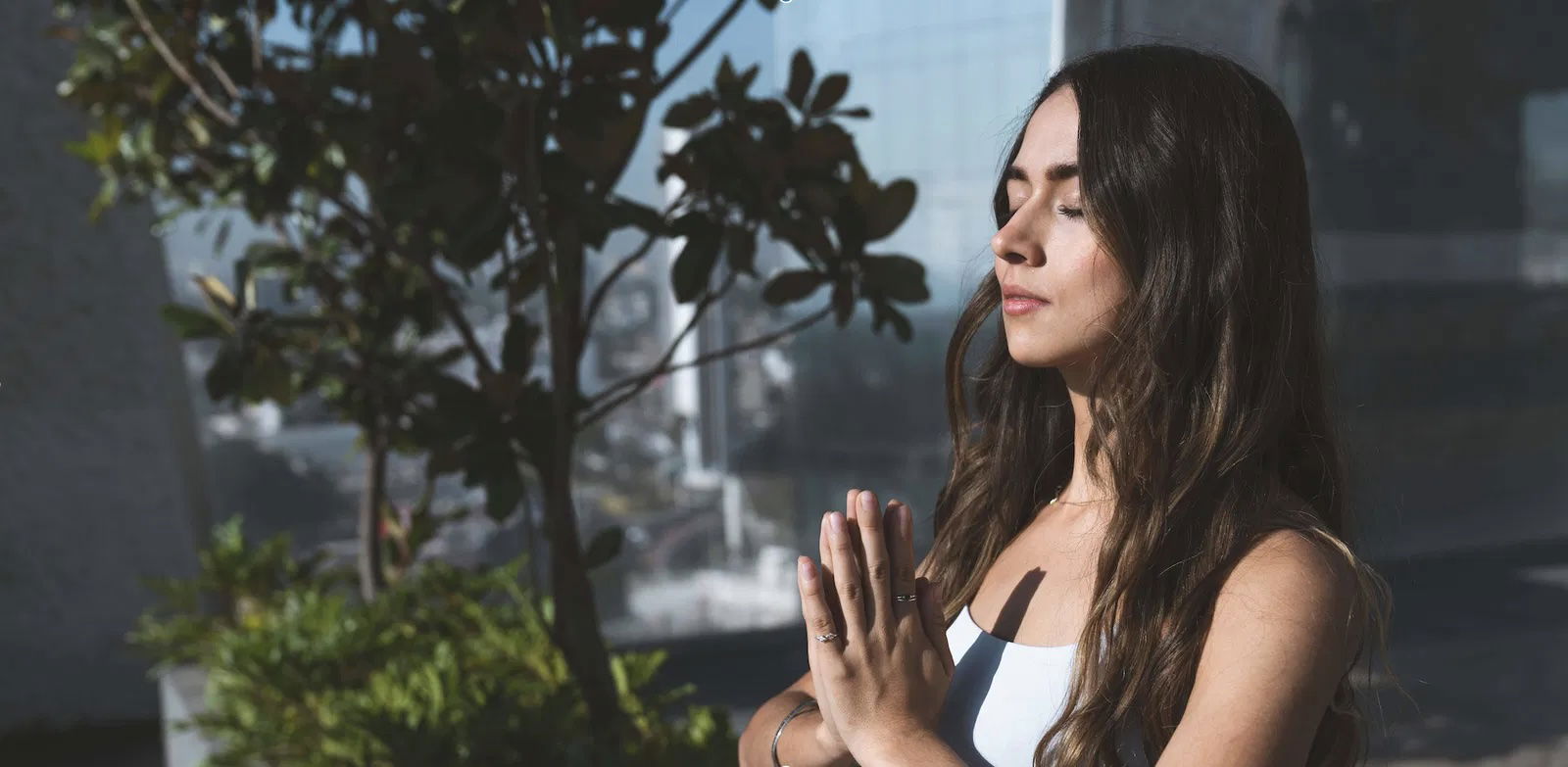 Discover the 7 chakras and their meaning